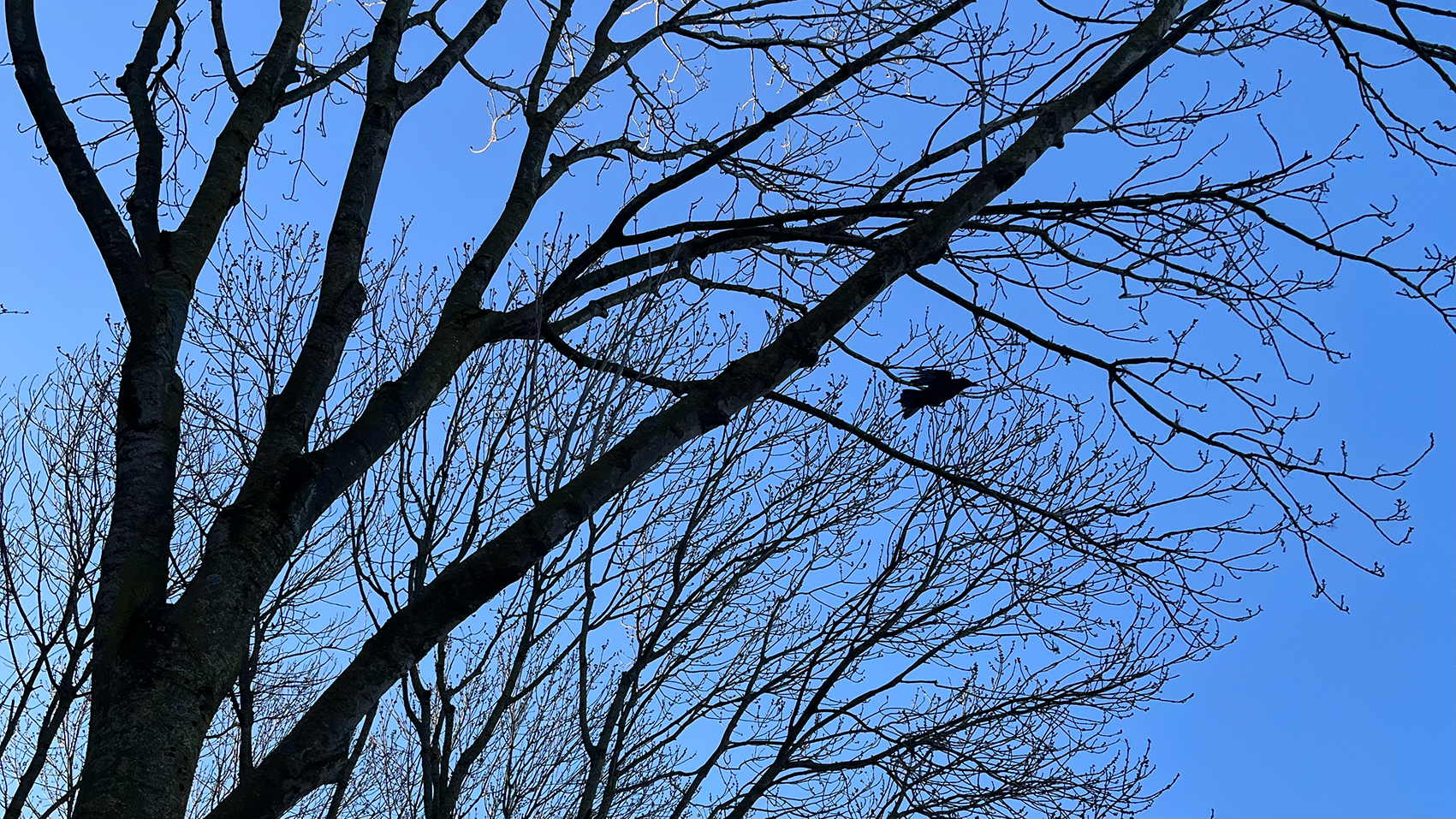 薄薄的空气 Thin Air – 2